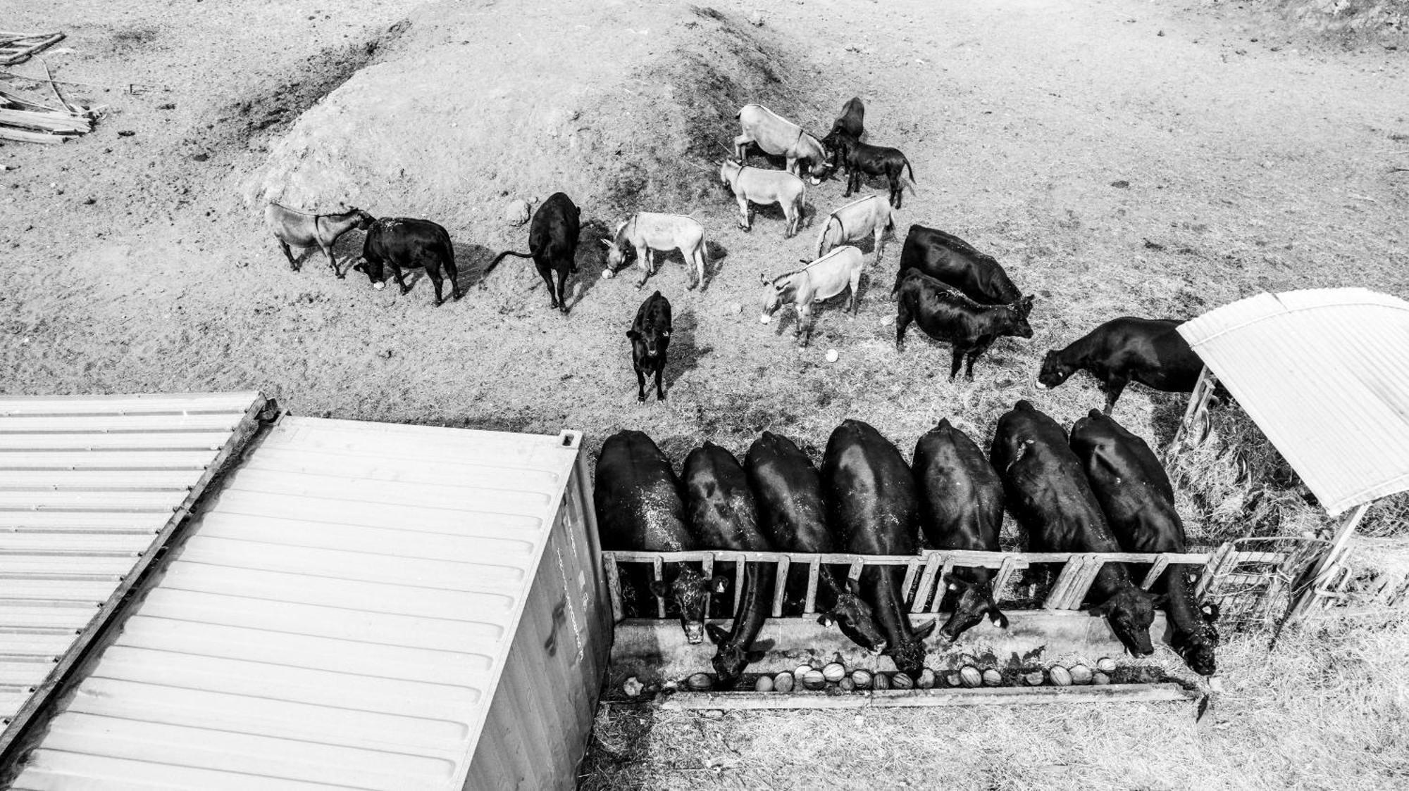 Agriturismo Podere Giulio Tarquinia Exteriér fotografie